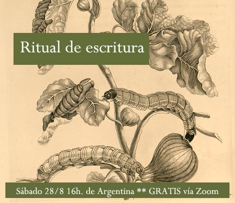 79D062C4-6E21-4E36-907D-EF2271C9113F